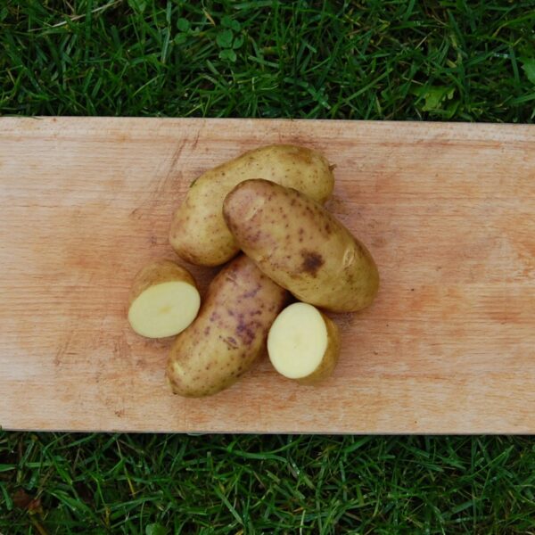 Settepotet Mandel 2,5kg